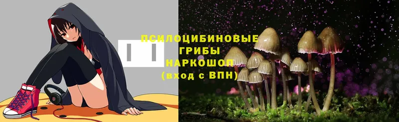 Галлюциногенные грибы MAGIC MUSHROOMS  Бежецк 